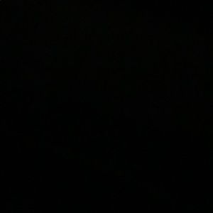 Meet your Posher, Dee